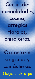 No sabe cmo hacer X  Y?  Organice a un grupo de personas cercanas a usted y comparta unas clases de cocina, arreglos florales, manualidades, entre otros.   Telfono:  2441-2411